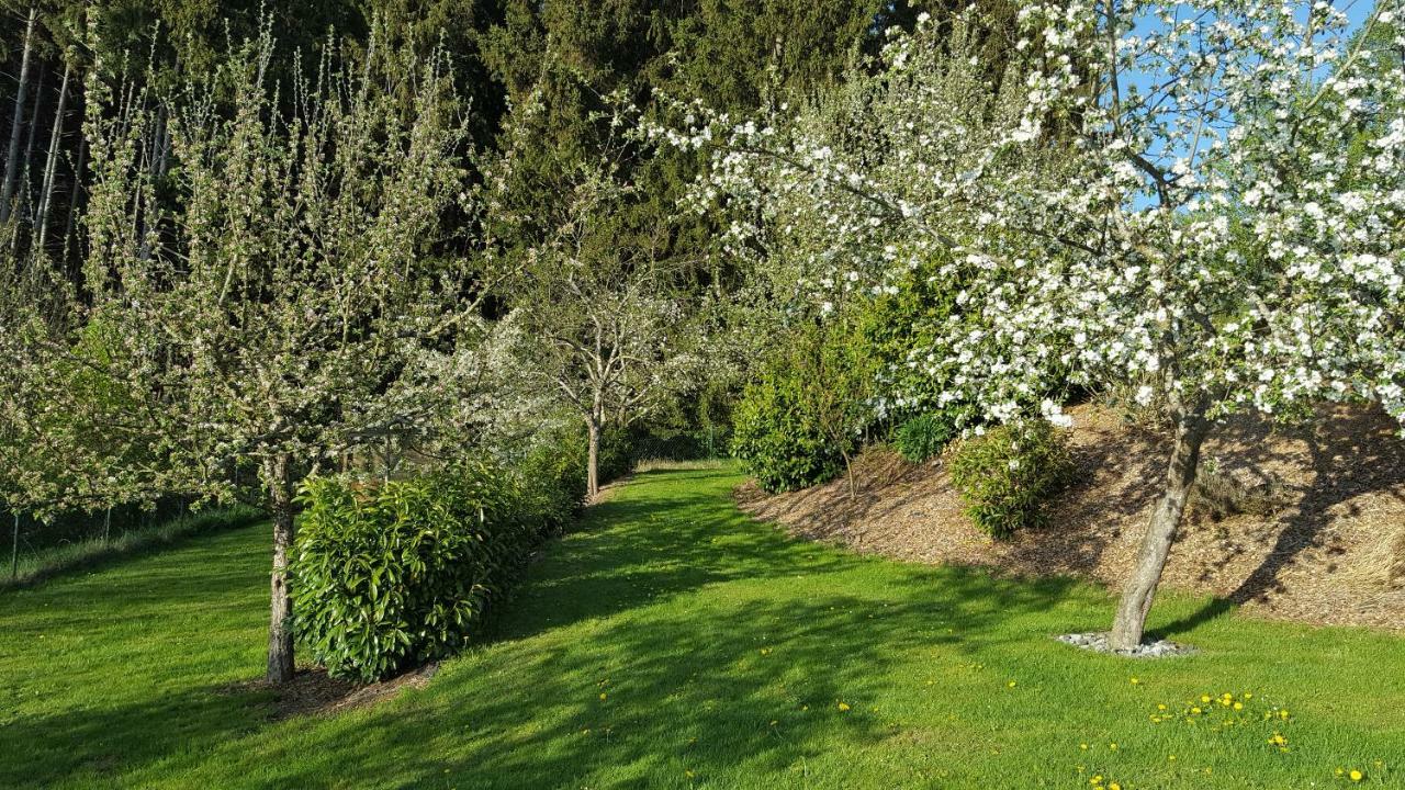 Herdwangen-Schönach Ferienwohnung Am Waldrand מראה חיצוני תמונה