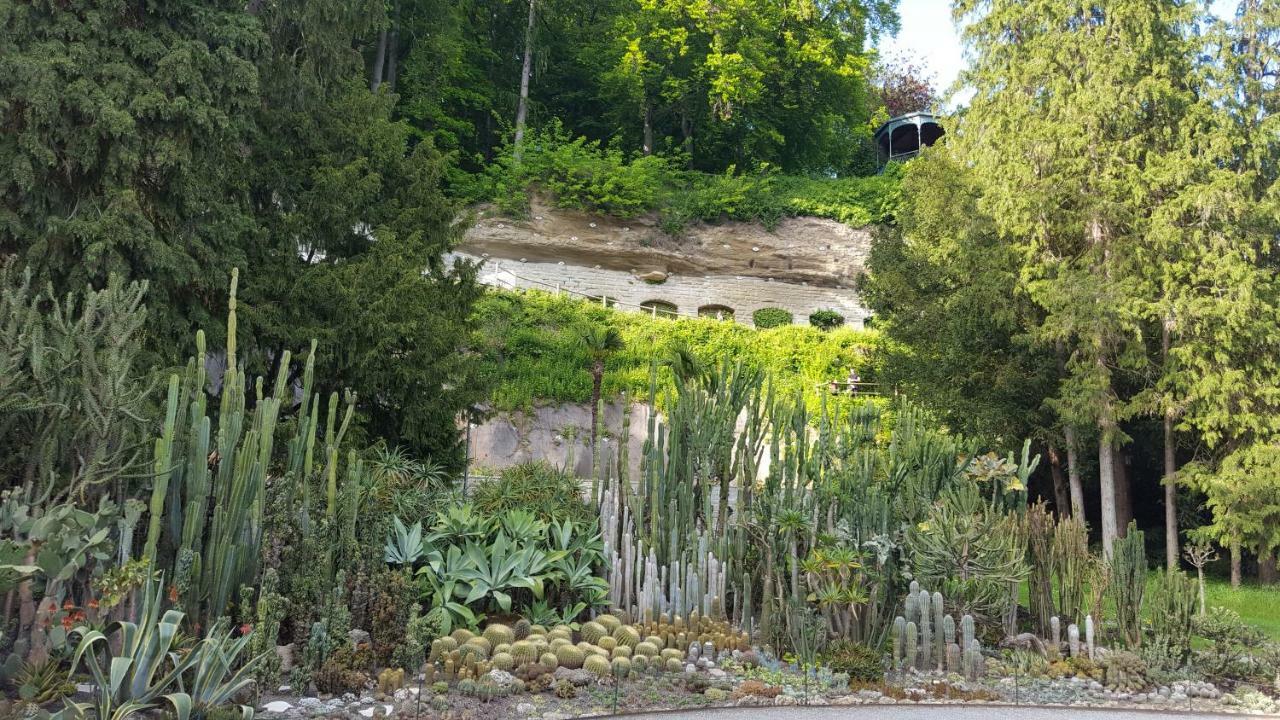 Herdwangen-Schönach Ferienwohnung Am Waldrand מראה חיצוני תמונה